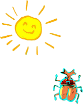 7月:プール開き / 七夕 / 夕涼み会、8月:造形教室、9月:防災引き渡し訓練