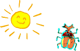 7月:プール開き / 七夕 / 夕涼み会、8月:造形教室、9月:防災引き渡し訓練