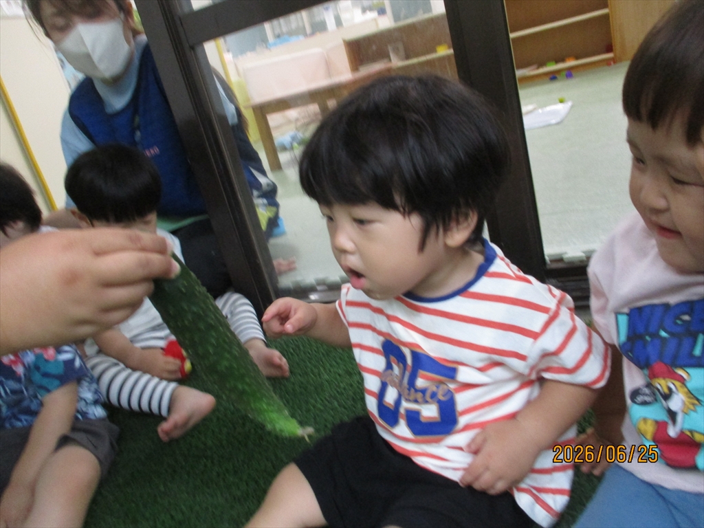 Img 6522 R